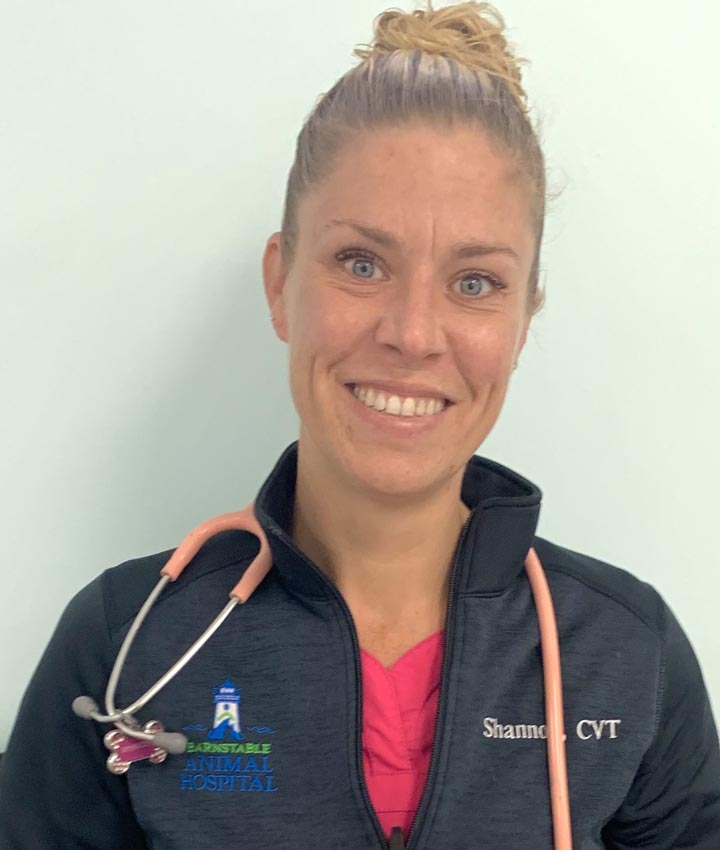 Portrait of Shannon Carroll